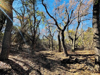 2405 Upper Denton Rd unit 2, Weatherford, TX 76085 - photo 4