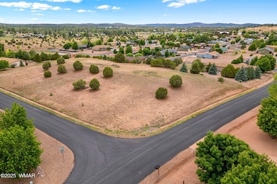 1188 Outlaw Pass, Show Low, AZ 85901 - photo 7