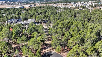 1380 Buckwood Ln, Woodmoor, CO 80132 - photo 5