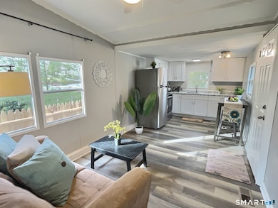 36 Long Dr, Windham, CT 06256 - photo 6