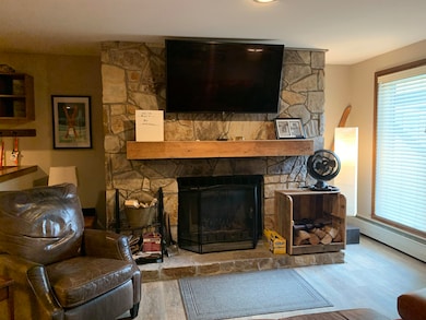 3A Trailside Village Way unit G 11, Dover, VT 05356 - photo 6