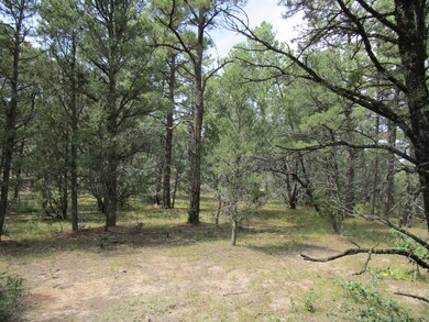 33024 Ponderosa Ridge Dr, Trinidad, CO 81082 - photo 4