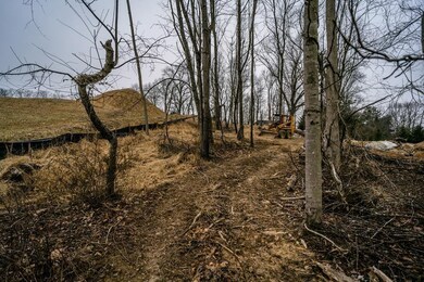 2725 Dorval Rd, Harrisonburg, VA 22801 - photo 3