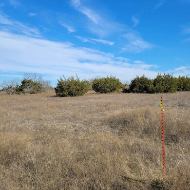 000 Private Road 16024 unit 111, Jonesboro, TX 76538 - photo 5