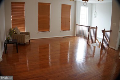 42807 Shaler St, Chantilly, VA 20152 - photo 7