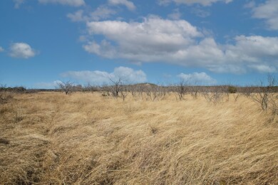 4 E Lower Crabapple Rd unit 4, Fredericksburg, TX 78624 - photo 6