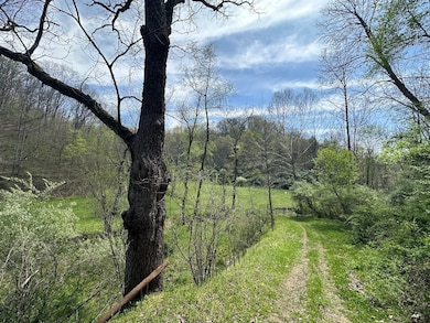 8829 Clay Rd, Left Hand, WV 25251 - photo 5