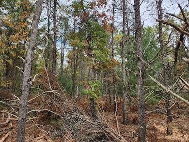 Parcel P Tatanka Trail, Baldwin, MI 49304 - photo 3