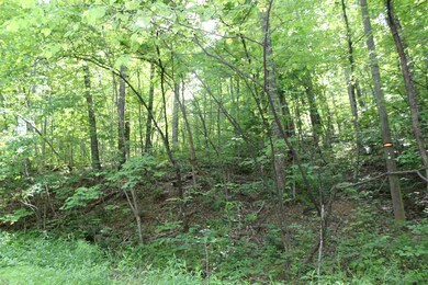 Lot 53 Red Bird Dr, Stanardsville, VA 22973 - photo 6