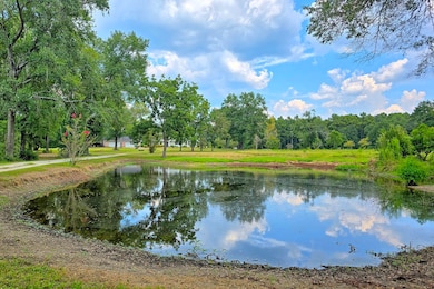 3902 Moore Cemetery Rd, Groveton, TX 75845 - photo 6