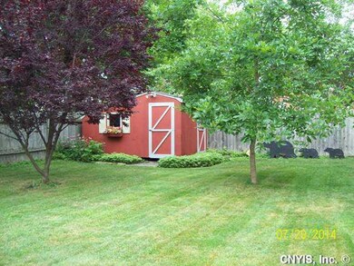 Shed