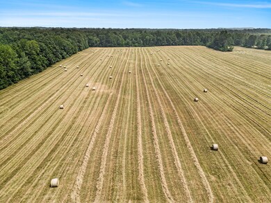 002_dji_0668