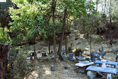 20739 Lower Hillview Dr, Phoenix Lake-Cedar Ridge, CA 95370 - photo 5