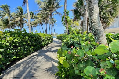 Deerfield's beautiful boardwalk...