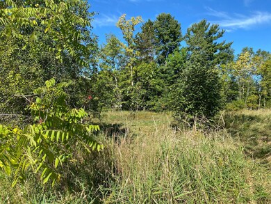 3 acres 7th St, Weyerhaeuser, WI 54895 - photo 7
