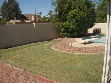 BACK YARD