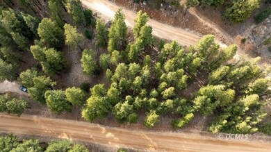 Aerial Image