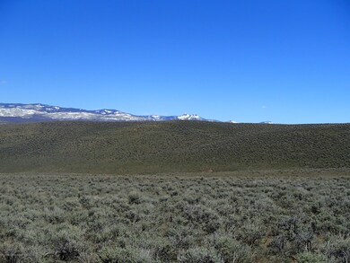 LookingNorth