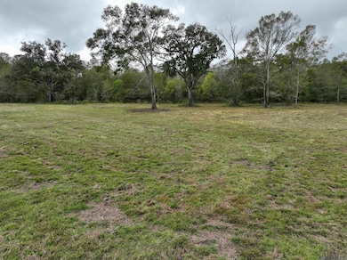 15405 Louisiana 931, Prairieville, LA 70769 - photo 2