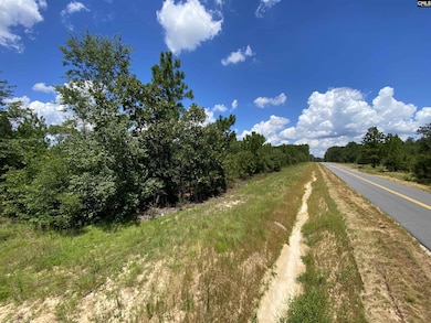 00 Bub Shumpert Rd, Pelion, SC 29123 - photo 3