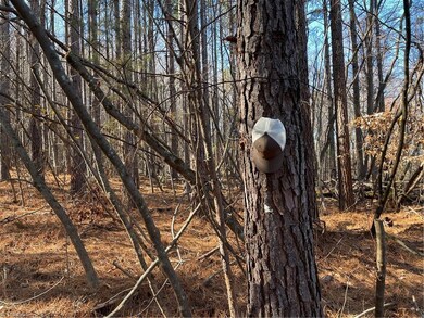 00 Garren Town Rd, Asheboro, NC 27205 - photo 4