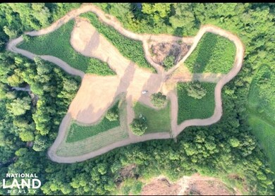 0 Reedy Branch Rd, Hamilton, AL 35570 - photo 7