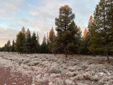 IMG_8686