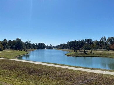 31118 Roanoke, Tomball, TX 77375 - photo 7