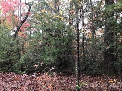 Lot 13 Echo Ln S unit 13, Old Fort, NC 28762 - photo 6