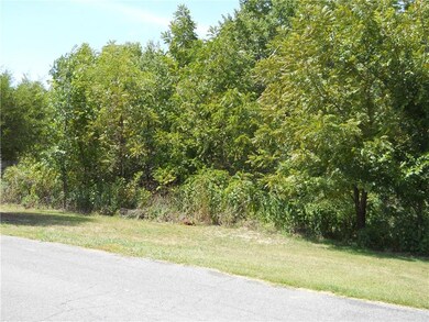 29 Skelton Dr, Bella Vista, AR 72715 - photo 3