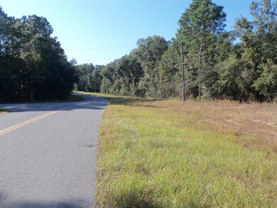 00 SW 102 Street Rd unit 35, Dunnellon, FL 34431 - photo 2