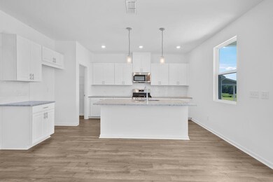 REPRESENTATIVE PHOTO