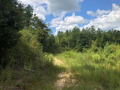 0 Stonecypher Rd, Lucedale, MS 39452 - photo 4