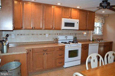 1231 University Ave, Morton, PA 19070 - photo 4