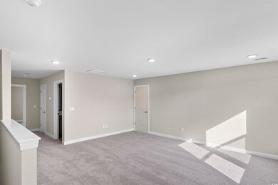 Empty room with light carpet