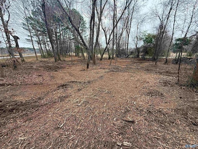 2.65 Acres Lester Dr, Boaz, AL 35957 - photo 3