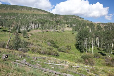 Lot 125