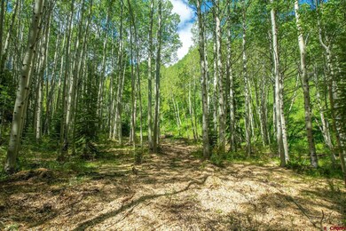TBD Hidden Mine Rd, Crested Butte, CO 81224 - photo 7