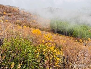 14638 US Hwy 2, Leavenworth, WA 98826 - photo 2