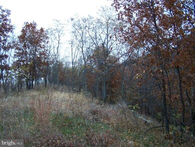 0 Lockinger Ridge unit 1002864634, Moorefield, WV 26836 - photo 2