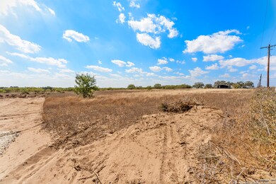 2853 Farm To Market Road 1333, Poteet, TX 78065 - photo 4