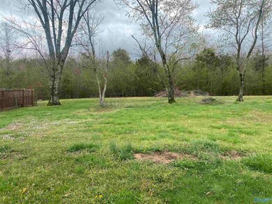 368 Mitchell Dr, Hollywood, AL 35752 - photo 6