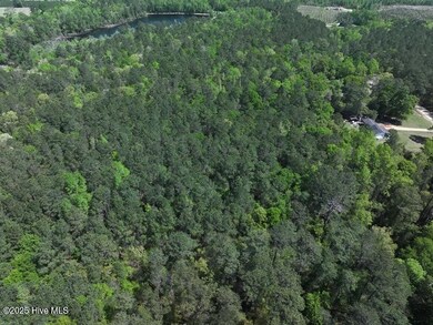 DJI_20250410124514_0534_D