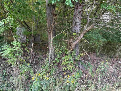 TBD Planing Mill St, Belington, WV 26250 - photo 6