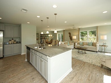 203 Cypress Marsh Rd, Moncks Corner, SC 29461 - photo 4