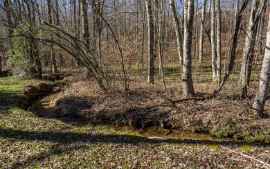 71 Blue Springs Rd, Ellijay, GA 30540 - photo 2