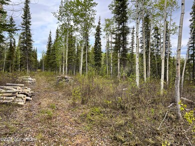 ASLS 79-251, Glennallen, AK 99588 - photo 3