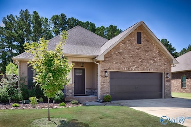 9001 Mountain Preserve Blvd, Gurley, AL 35748 - photo 3