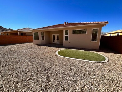 Backyard (2)