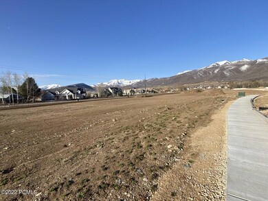 thumbnail_IMG_7006